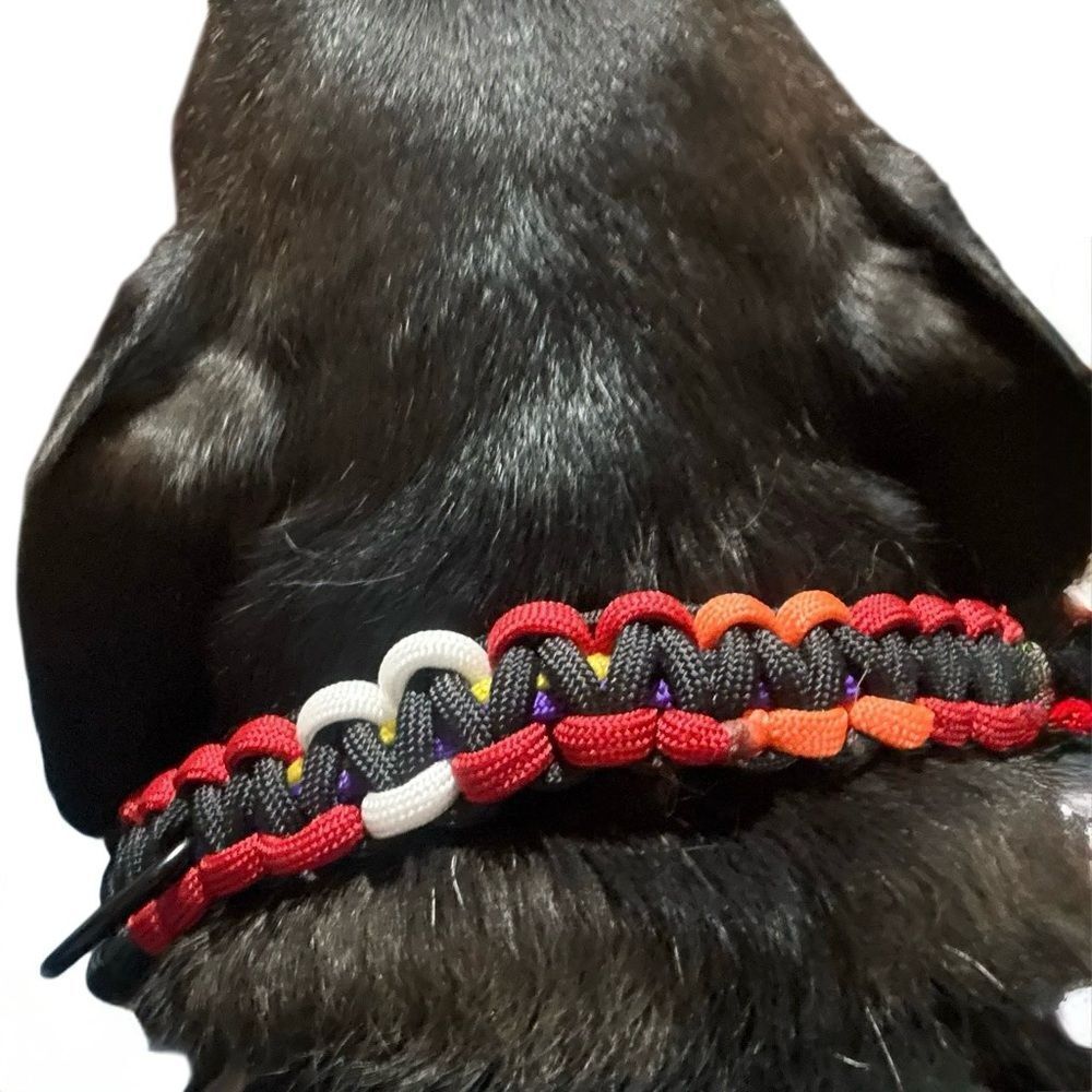 Handmade Paracord Pride Dog Collar Cobra Weave Rainbow LGBTQ Pet Collar